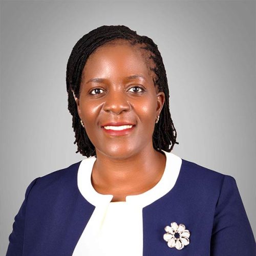 Dr. Joyce Tamale